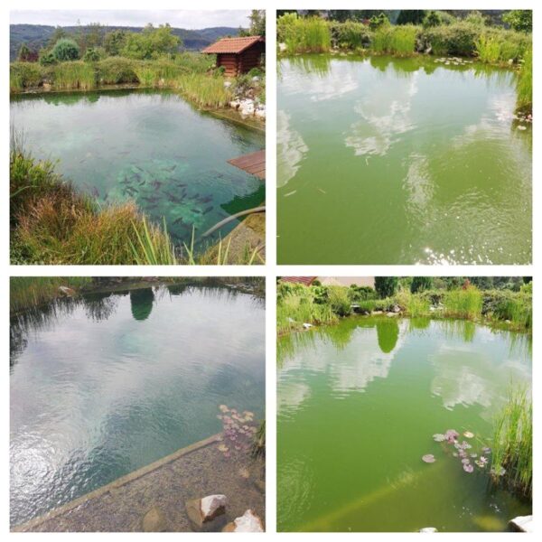 Potřebujete vyčistit jezírko?