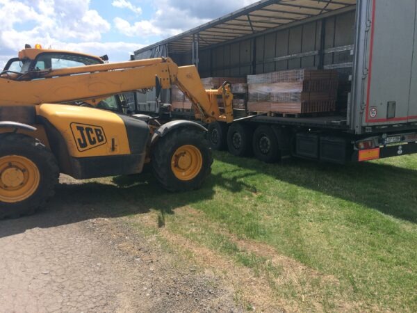 Pomáhat není žádná věda | HUTIRA